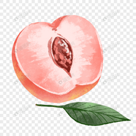 老司机“在线开车”网APP应用